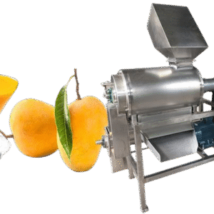 Fruit Pulper