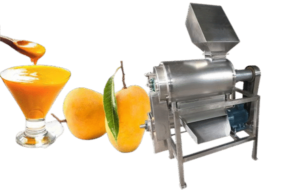 Fruit Pulper