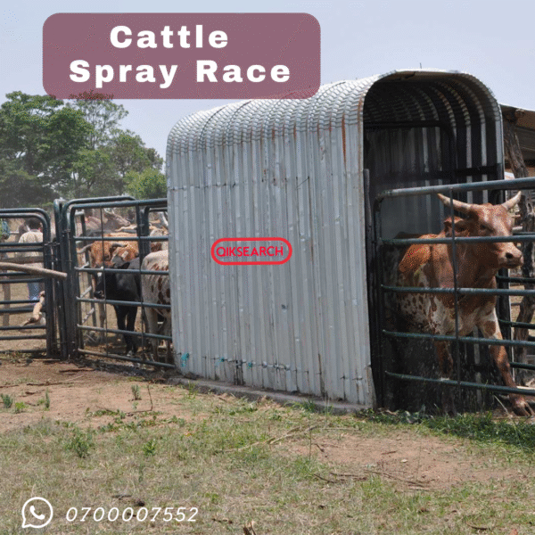 Spray Race - Image 2