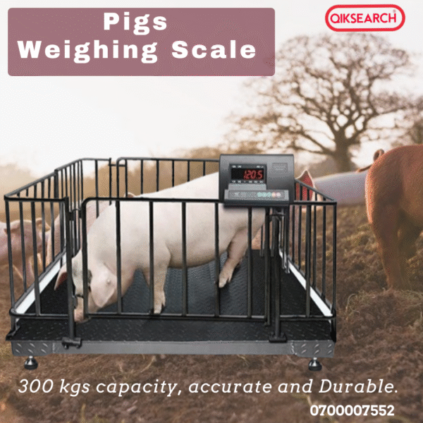 Digital Pigs Weighing Scale - Image 2