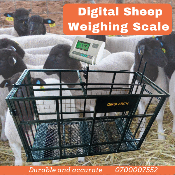 Goats/Sheep Digital Weighing Scale - Image 3