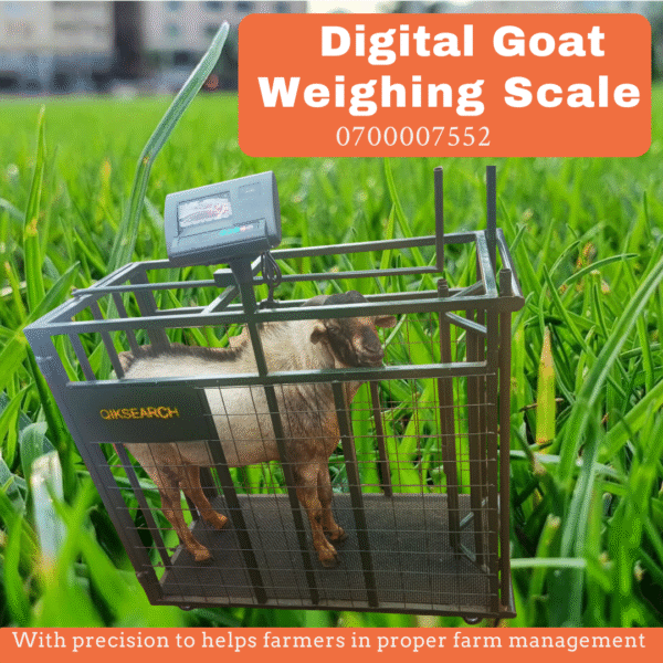 Goats/Sheep Digital Weighing Scale - Image 2