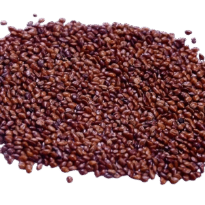 Lucerne/Alfalfa Grass Seeds