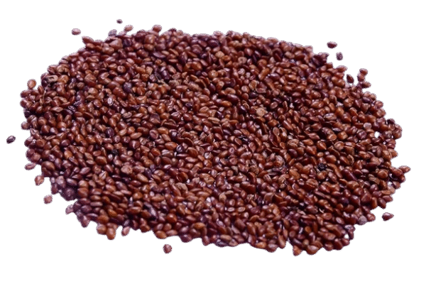 Lucerne/Alfalfa Grass Seeds