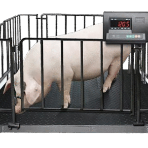 Digital Pigs Weighing Scale